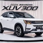 WhatsApp Image 2025-08-12 at 3.11.50 PM